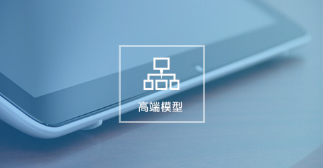 高端模型